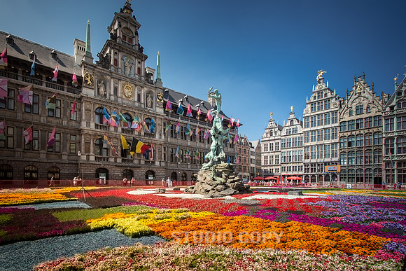 CDR_06112015_0289_belgium