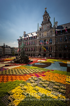 CDR_06112015_0297_belgium