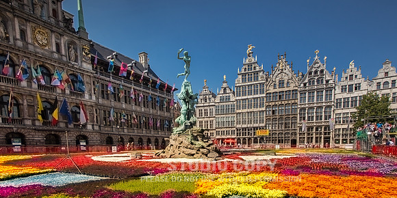 CDR_06112015_0317_belgium