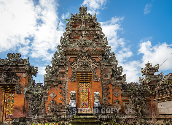 CDR_12282016_0692_textures of Bali