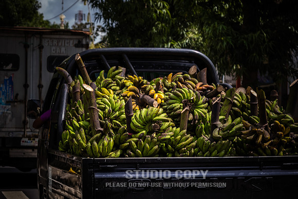 CDR_12292016_0625_textures of Bali