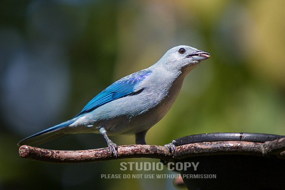 CDR_03072018_1020_costarica