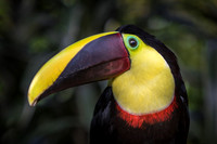 Costa Rica