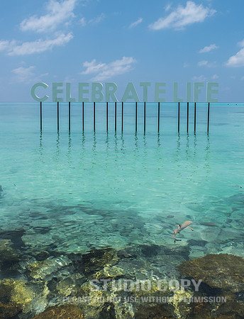 CDR_03292018_fuji_0356_lux_maldives_v2