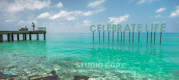 CDR_03292018_fuji_0363 Celebrate Life