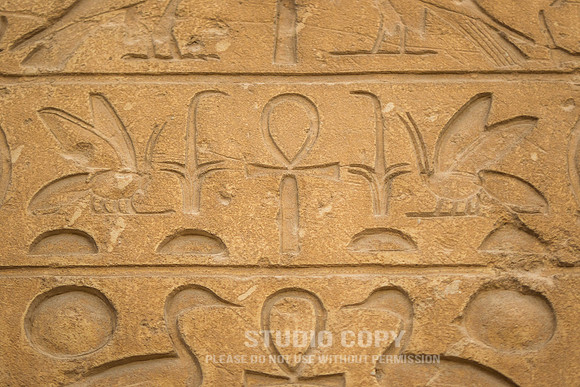 CDR_02122018_6003 (1)_egypt