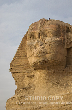 CDR_02122018_6012 (1)_egypt