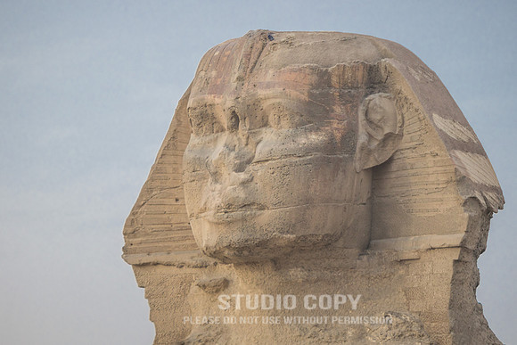 CDR_02122018_6077 (1)_egypt