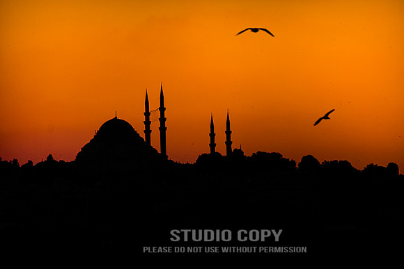 CDR_08202010_0050_MG_4420_Istanbul