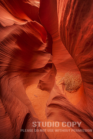 CDR_02252014_1448_antelopecanyon