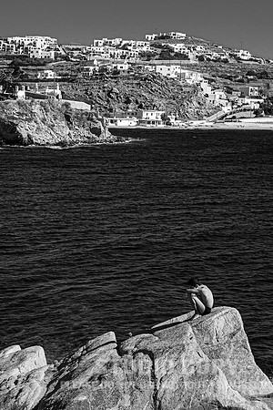 CDR_07092008_0223_MG_5148_mykonos_greece