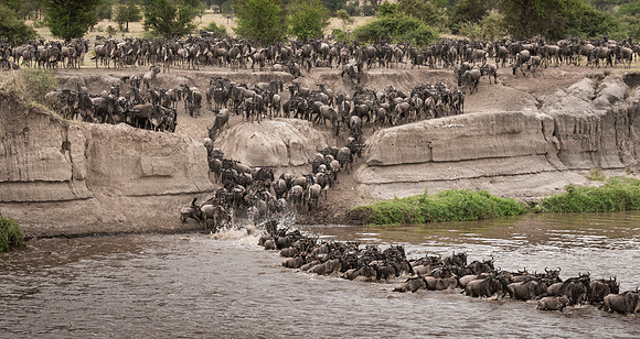 CDR_09272019_Tanzania_0533_tanzania_