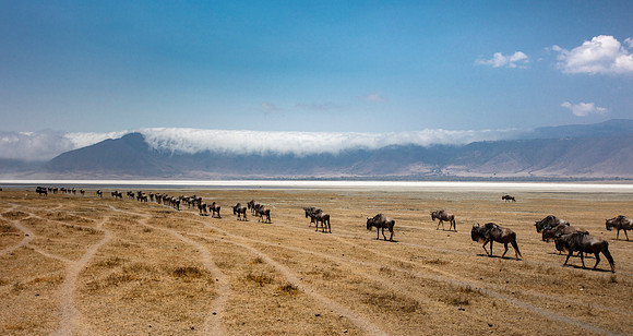 CDR_09242019_Tanzania_1426_tanzania_