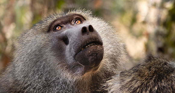 CDR_09232019_Tanzania_0122