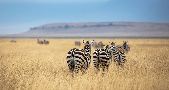 CDR_09242019_Tanzania_0248_tanzania_
