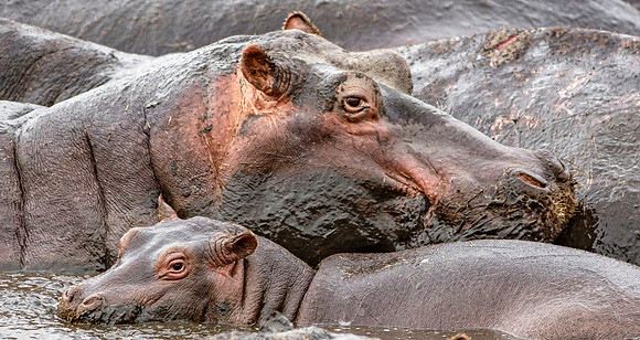 CDR_09242019_Tanzania_0455