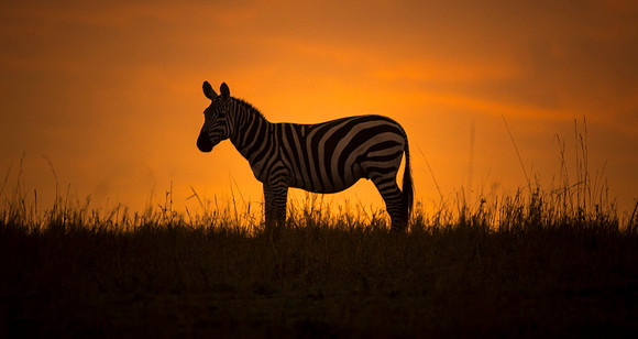 CDR_09282019_Tanzania_0009_tanzania_