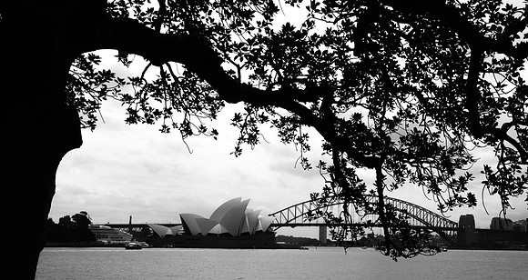 CDR_02202016_0193_sydney