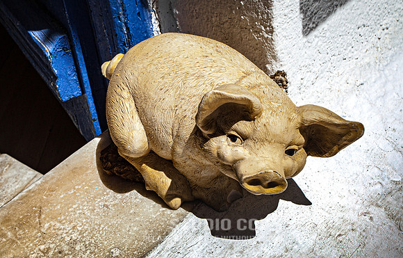 CDR_08222010_0774_MG_5734_mykonos_greece