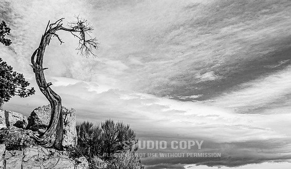 CDR_12272006_0126_IMG_6044