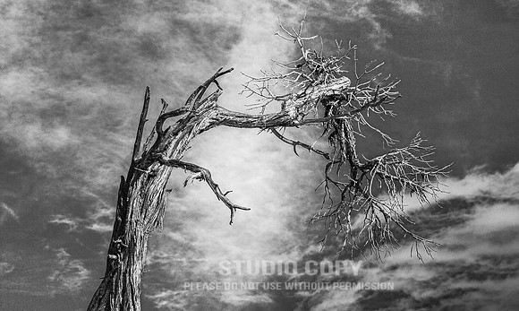 CDR_12272006_0149_IMG_6068_grand_canyon