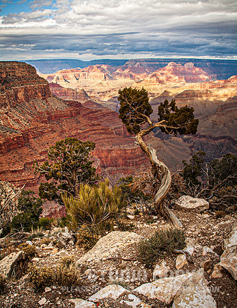 CDR_12272006_0366_IMG_6297_grand_canyon