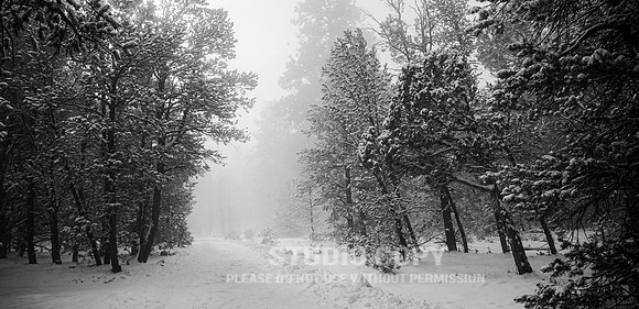 CDR_12282006_0008_IMG_6476_grand_canyon