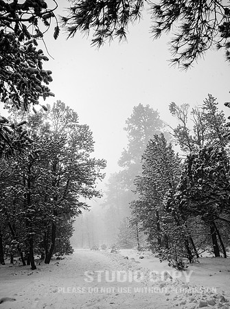 CDR_12282006_0010_IMG_6478_grand_canyon