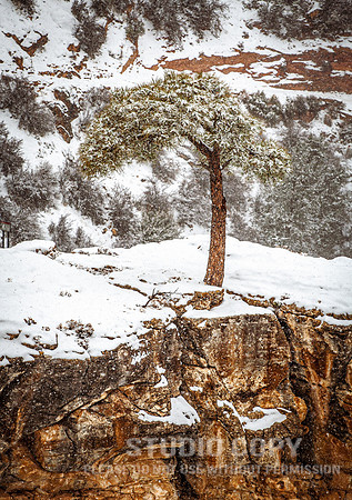 CDR_12282006_0064__MG_6538_grand_canyon