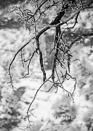 CDR_12282006_0077__MG_6553_grand_canyon
