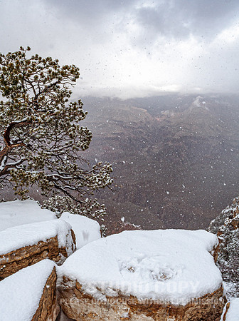 CDR_12282006_0144__MG_6658_grand_canyon