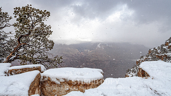 CDR_12282006_0145__MG_6659_grand_canyon