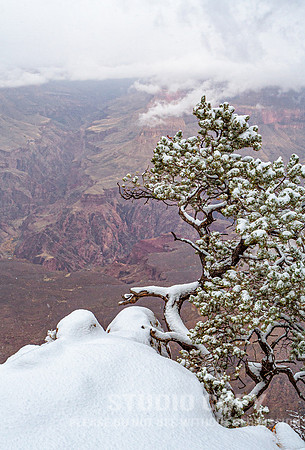 CDR_12282006_0163__MG_6680_grand_canyon