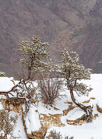 CDR_12282006_0171__MG_6688_grand_canyon