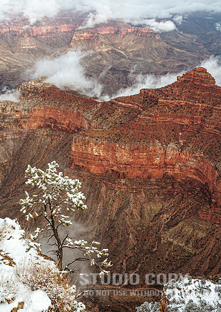 CDR_12282006_0205__MG_6723_grand_canyon