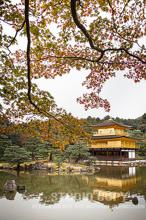 CDR_1110_2011_0241_Kyoto