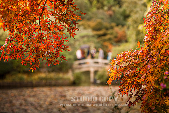 CDR_1110_2011_0374_Kyoto