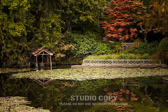 CDR_1110_2011_0517_Kyoto