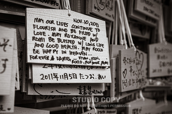 CDR_1110_2011_0599_kyoto
