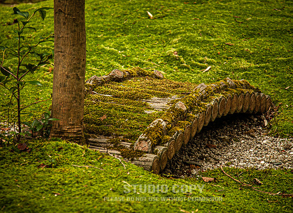 CDR_1110_2011_0611_kyoto