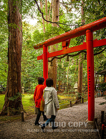 CDR_1110_2011_0620_kyoto