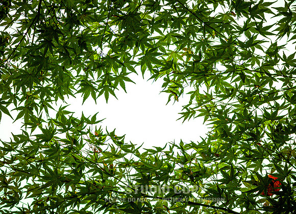 CDR_1110_2011_0656_kyoto