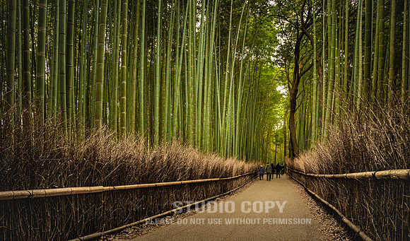 CDR_1110_2011_0749_Kyoto