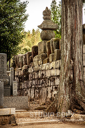 CDR_1110_2011_0815_kyoto