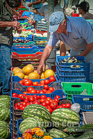 CDR_07102008_1066_MG_4979_mykonos_greece