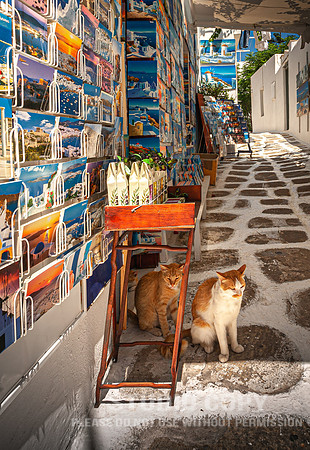 CDR_07102008_1334_MG_5247_mykonos_greece