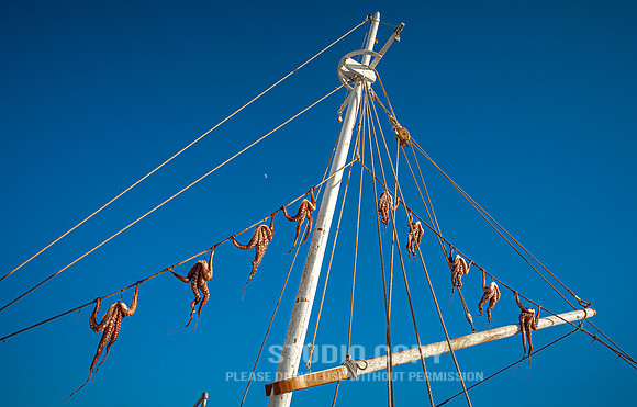 CDR_07102008_1563_MG_5477_mykonos_greece