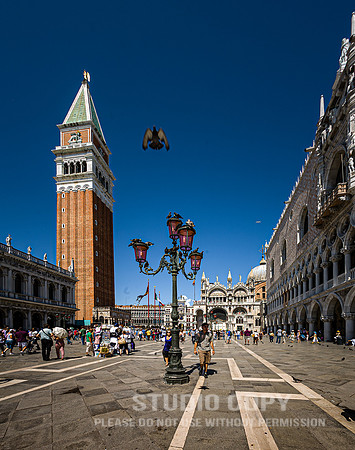 CDR_08152010_0099_MG_0271_venice