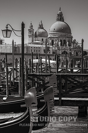 CDR_08152010_0171_MG_9764_venice