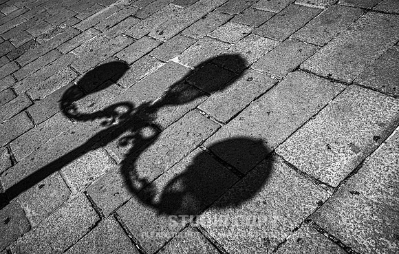 CDR_08152010_0194_MG_9787_venice